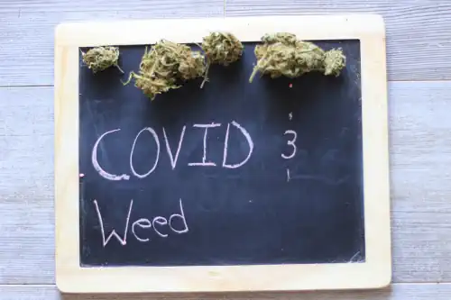 Cannabis gegen COVID-19