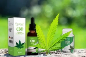 Eine Sammlung von CBD-Produkten der Marke Redfood24 ist zu sehen. In der Mitte steht eine Flasche CBD-Öl mit einer Pipette, auf deren Etikett "Redfood24" zu lesen ist. Daneben befinden sich mehrere CBD-Kapseln, die in einer geöffneten Dose präsentiert werden. Die Produkte sind auf einem hellen, neutralen Hintergrund arrangiert, wodurch sie deutlich hervortreten. Die Etiketten der Produkte sind gut lesbar und zeigen das Markenzeichen und die Inhaltsangaben.